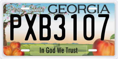 GA license plate PXB3107