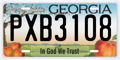 GA license plate PXB3108