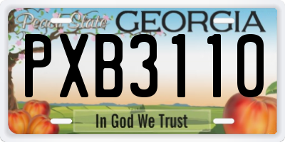 GA license plate PXB3110