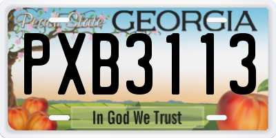 GA license plate PXB3113