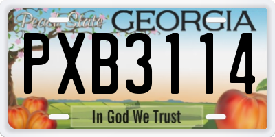 GA license plate PXB3114