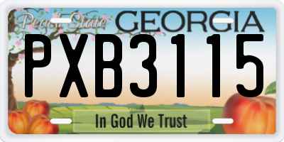 GA license plate PXB3115