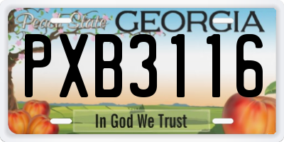 GA license plate PXB3116