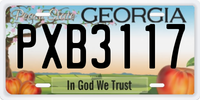 GA license plate PXB3117