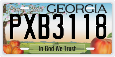 GA license plate PXB3118
