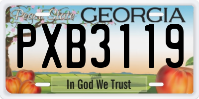 GA license plate PXB3119