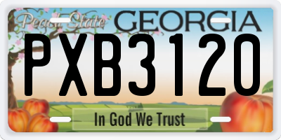GA license plate PXB3120