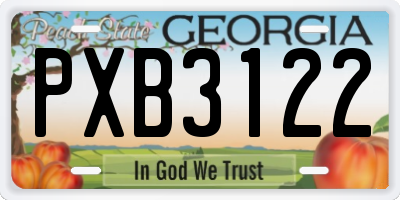 GA license plate PXB3122