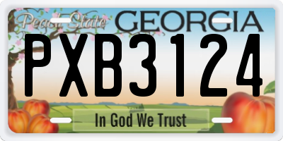 GA license plate PXB3124