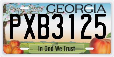 GA license plate PXB3125