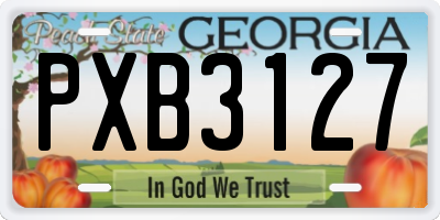 GA license plate PXB3127