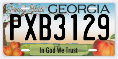 GA license plate PXB3129