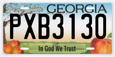 GA license plate PXB3130