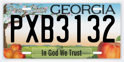 GA license plate PXB3132