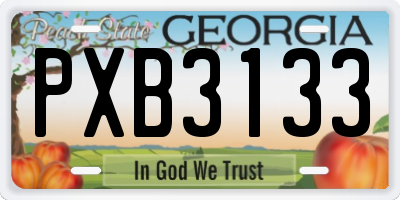GA license plate PXB3133