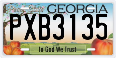 GA license plate PXB3135