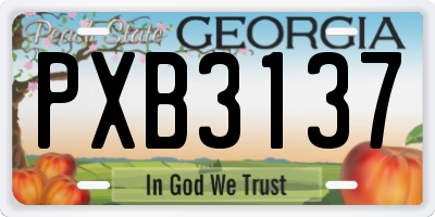GA license plate PXB3137