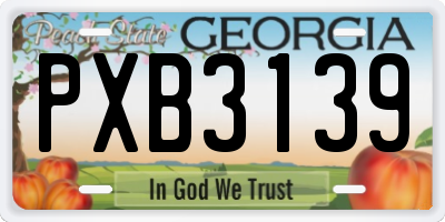 GA license plate PXB3139