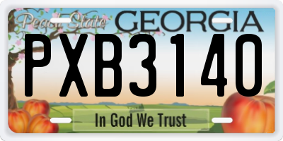 GA license plate PXB3140