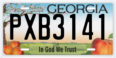 GA license plate PXB3141