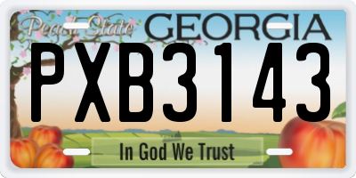 GA license plate PXB3143