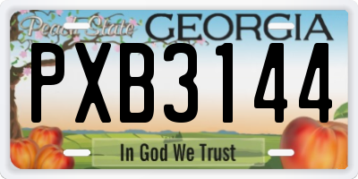 GA license plate PXB3144