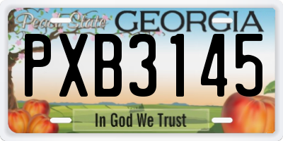 GA license plate PXB3145