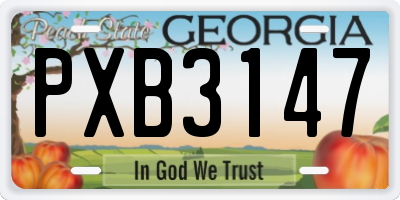 GA license plate PXB3147