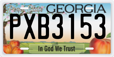 GA license plate PXB3153