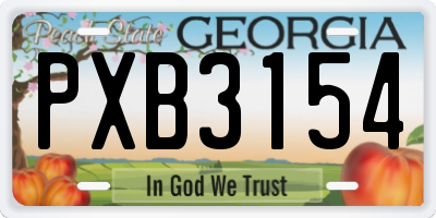GA license plate PXB3154