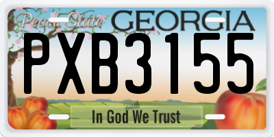 GA license plate PXB3155