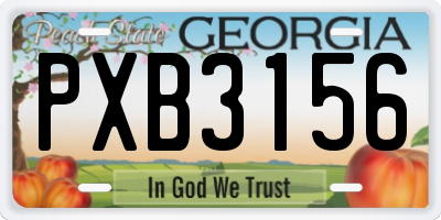 GA license plate PXB3156