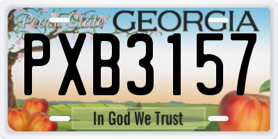 GA license plate PXB3157