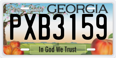 GA license plate PXB3159