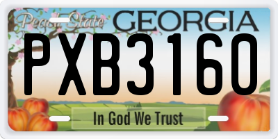 GA license plate PXB3160