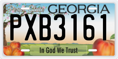 GA license plate PXB3161