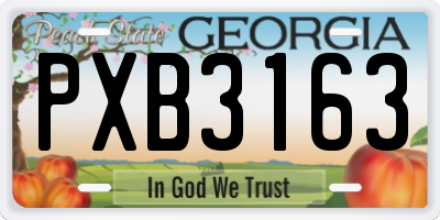 GA license plate PXB3163