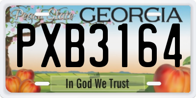 GA license plate PXB3164