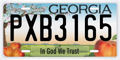 GA license plate PXB3165