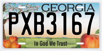GA license plate PXB3167