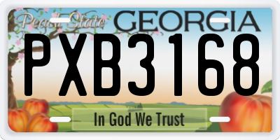 GA license plate PXB3168