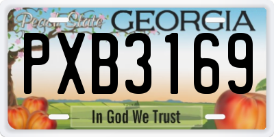 GA license plate PXB3169
