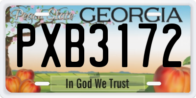 GA license plate PXB3172