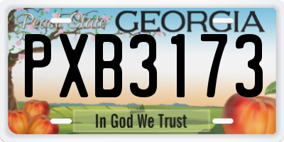 GA license plate PXB3173