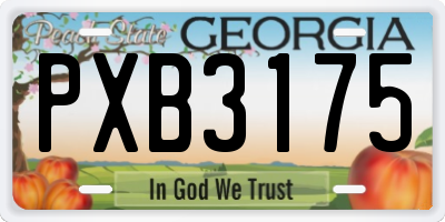 GA license plate PXB3175