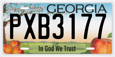GA license plate PXB3177