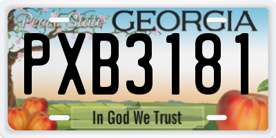 GA license plate PXB3181