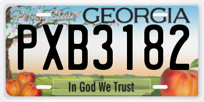 GA license plate PXB3182