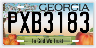 GA license plate PXB3183