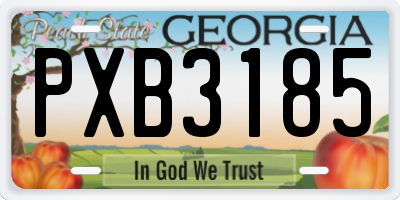GA license plate PXB3185